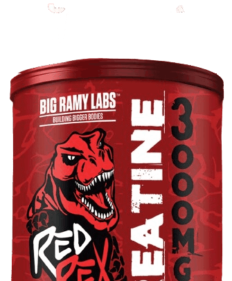 BIG RAMY LABS CREATINE 3000MG 300G